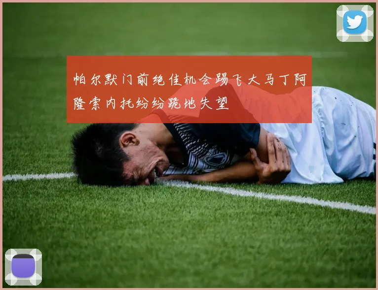 帕尔默门前绝佳机会踢飞大马丁阿隆索内托纷纷跪地失望