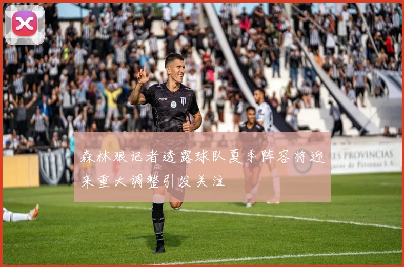 森林狼记者透露球队夏季阵容将迎来重大调整引发关注