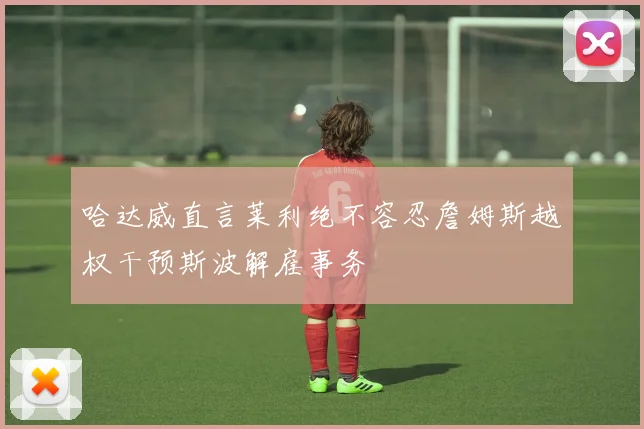 哈达威直言莱利绝不容忍詹姆斯越权干预斯波解雇事务